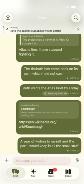 The Chat tab: a conversation with yourself, with a pinned message held at the top.