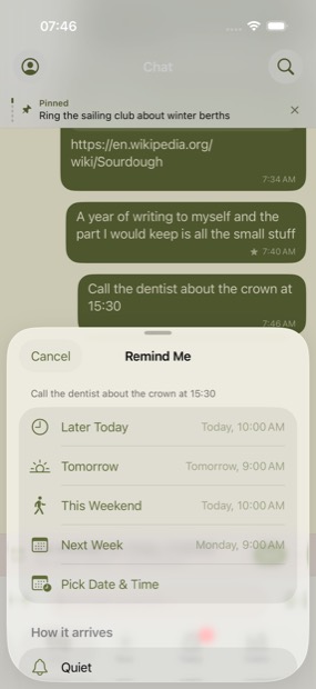The Remind Me sheet: one-tap times, and a choice between a quiet notification and a time-sensitive one.